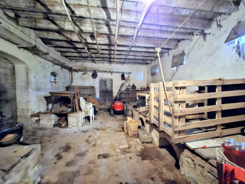 Foto annuncio 11