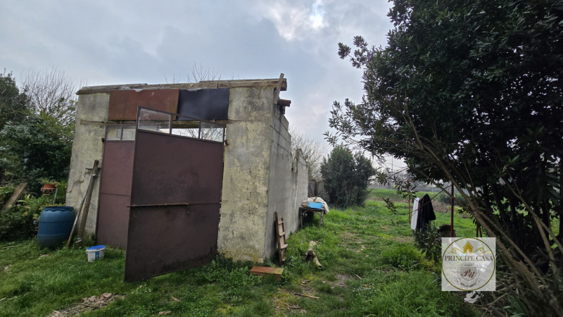 Foto annuncio 31