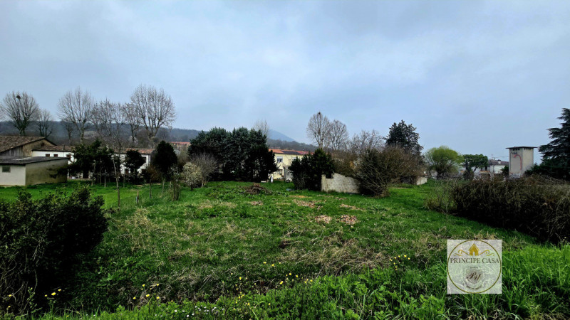 Foto annuncio 34