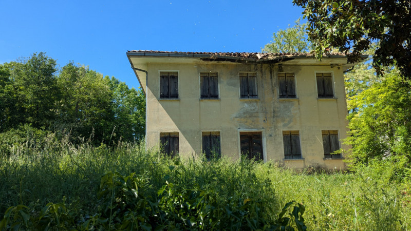 Foto annuncio 7