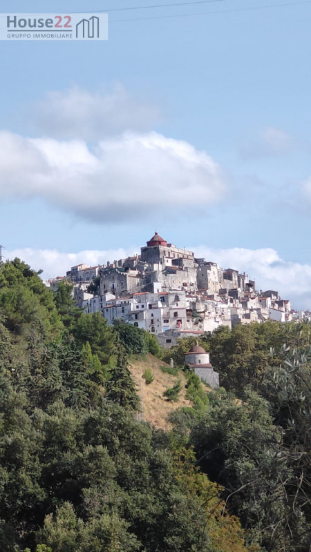 Foto annuncio 35