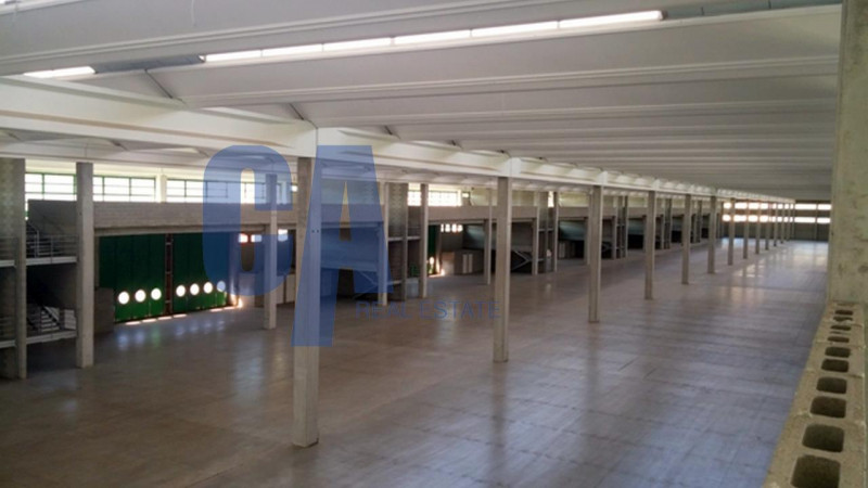 Foto annuncio 20