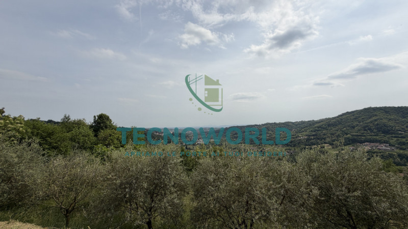 Foto annuncio 14
