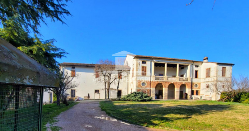 Foto annuncio 5