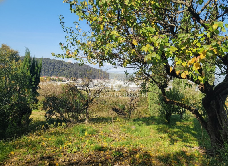 Foto annuncio 12