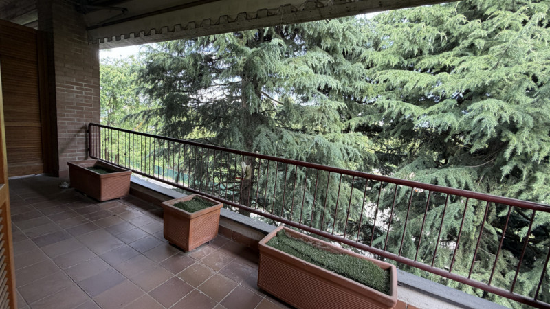 Foto annuncio 12