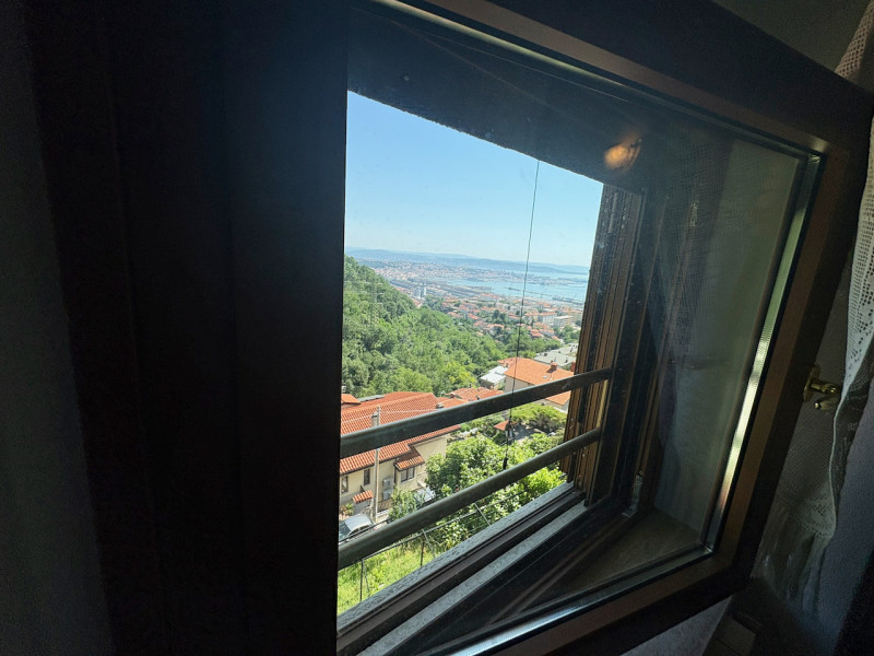 Foto annuncio 71