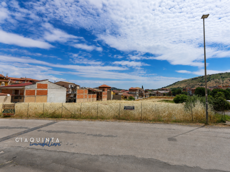 Foto annuncio 15