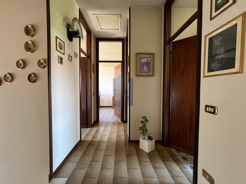Foto annuncio 12