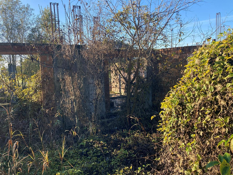 Foto annuncio 3