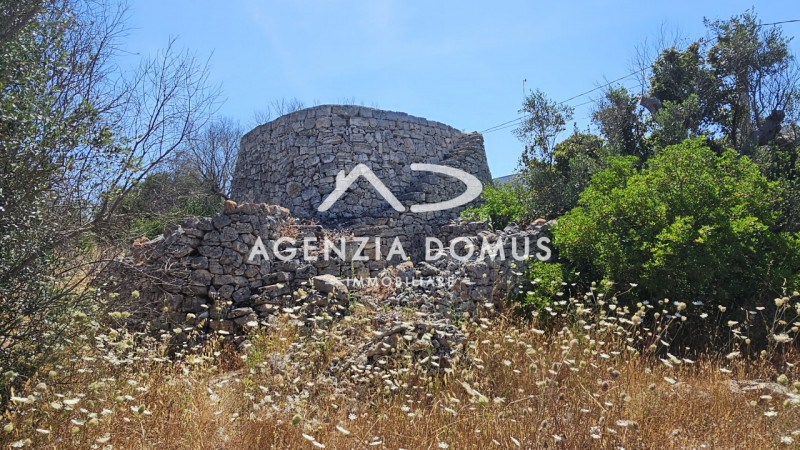Foto annuncio 19
