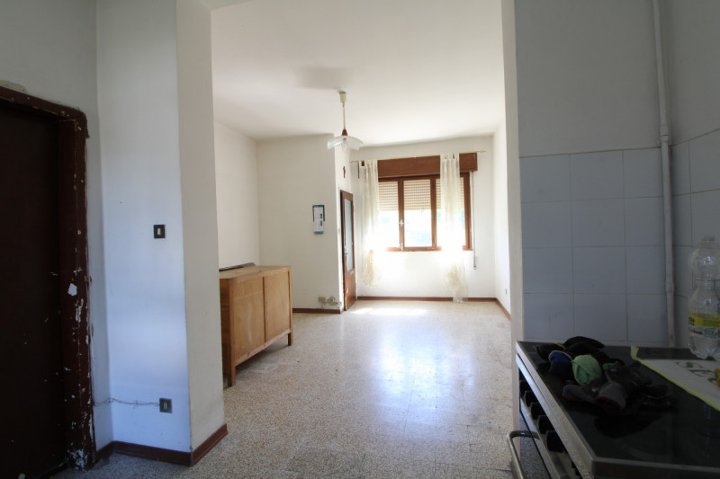 Foto annuncio 13