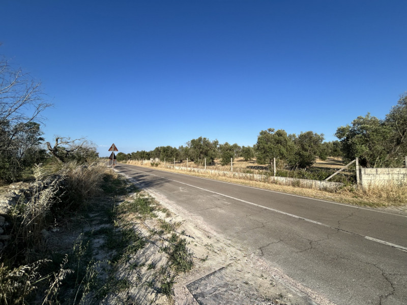 Foto annuncio 2