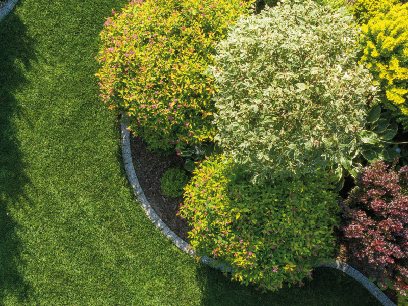 Foto annuncio 7