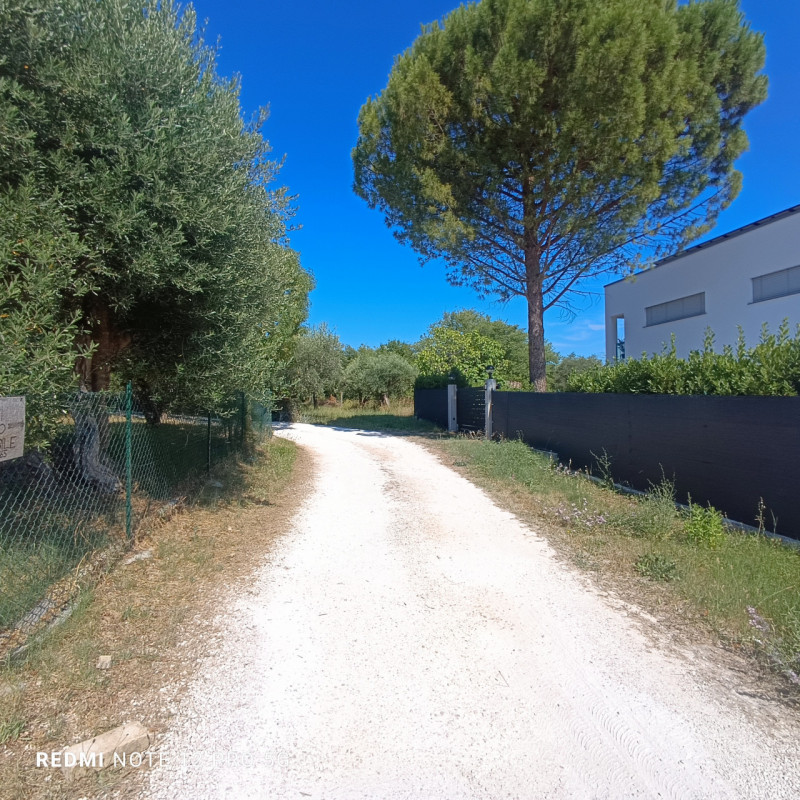 Foto annuncio 5