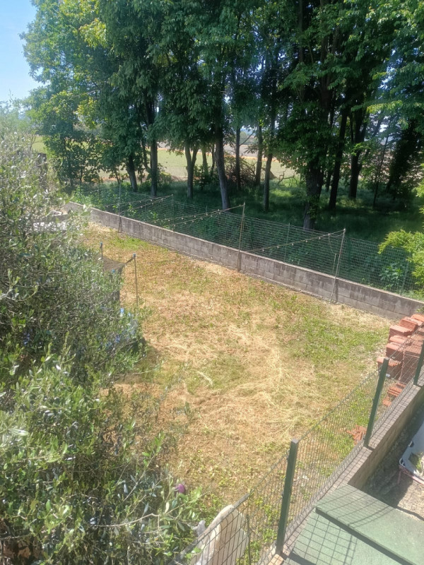 Foto annuncio 24