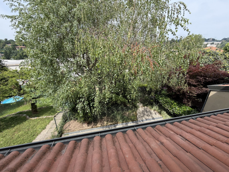 Foto annuncio 49