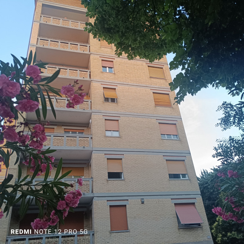 Foto annuncio 3