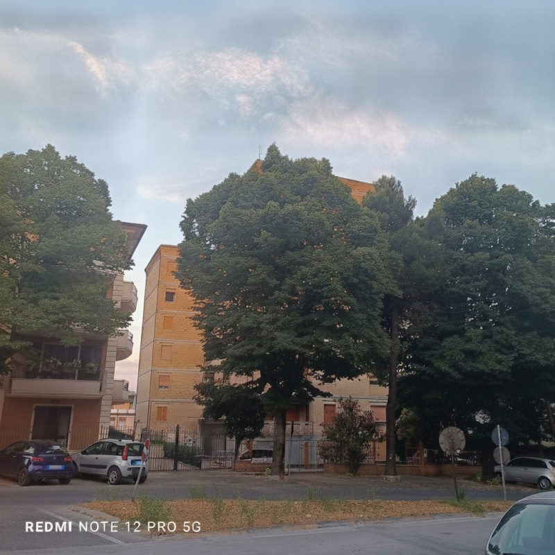 Foto annuncio 11