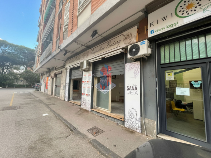 Foto annuncio 5