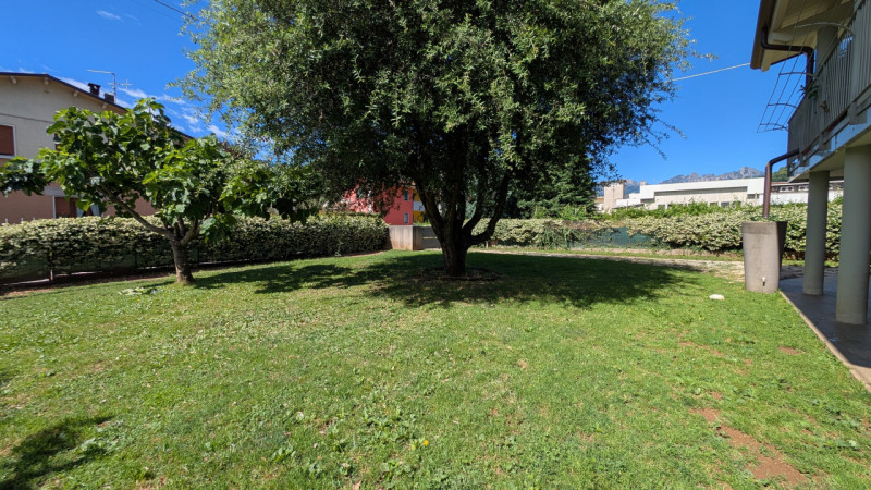Foto annuncio 43