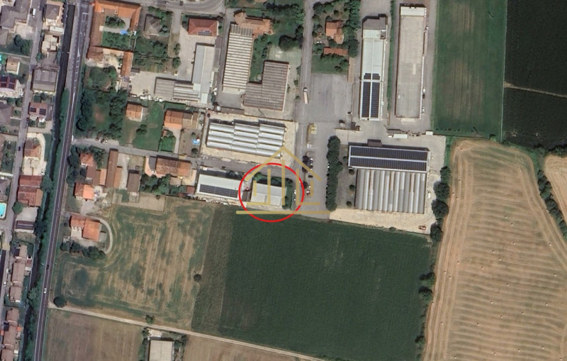 Foto annuncio 21