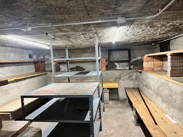 Foto annuncio 11