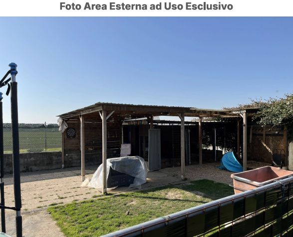 Foto annuncio 7