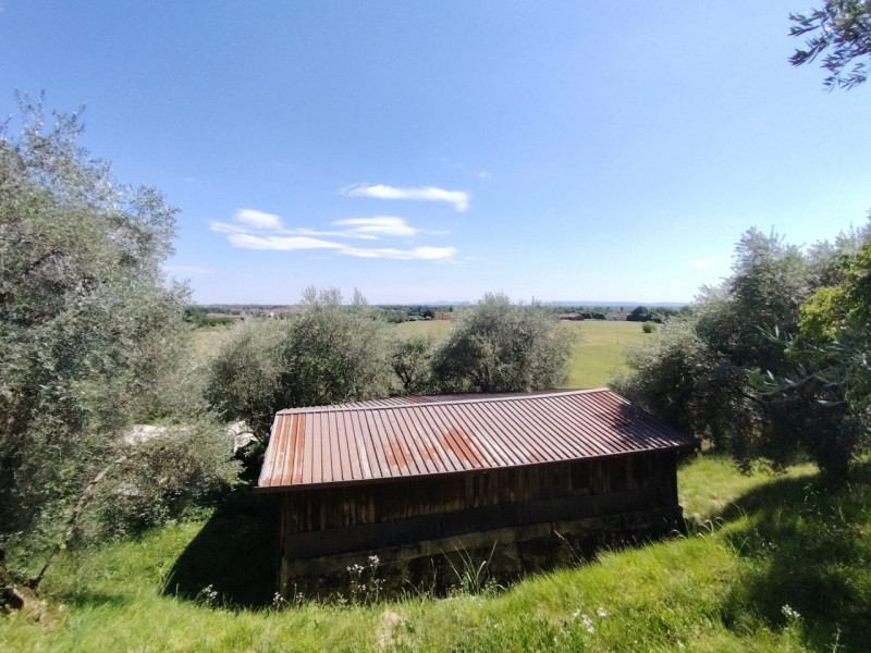 Foto annuncio 4