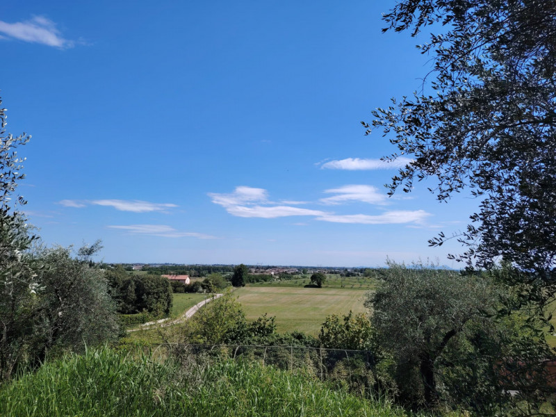 Foto annuncio 6