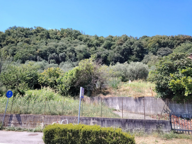 Foto annuncio 9