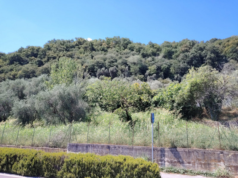 Foto annuncio 10