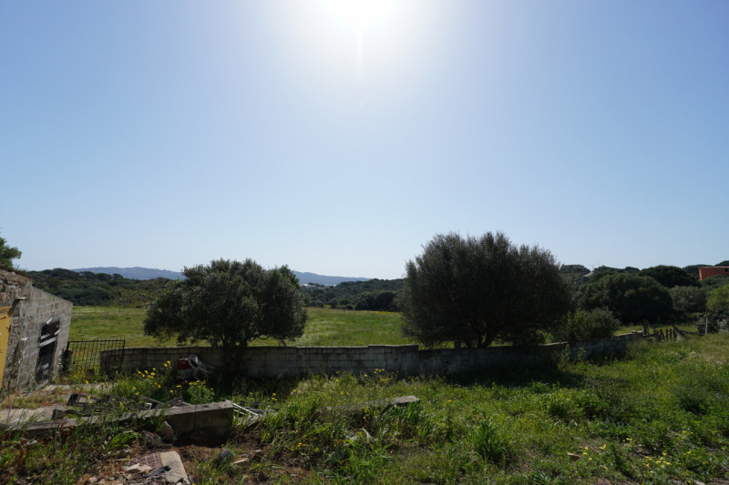 Foto annuncio 29