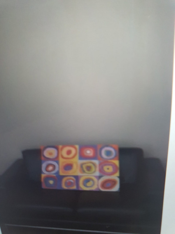 Foto annuncio 11