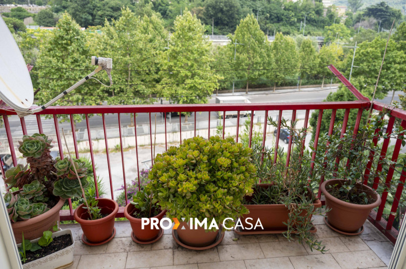 Foto annuncio 30