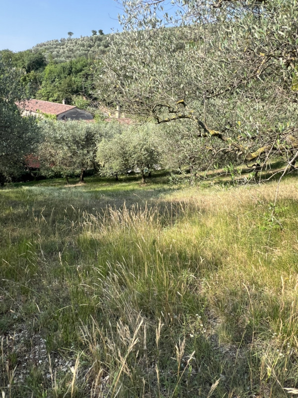 Foto annuncio 13