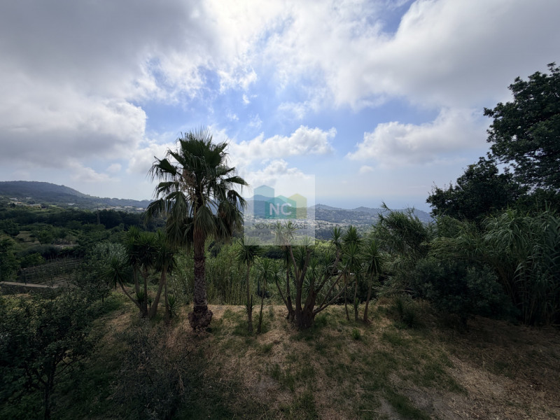 Foto annuncio 11