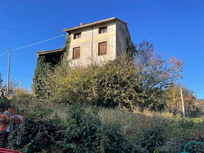 Foto annuncio 1