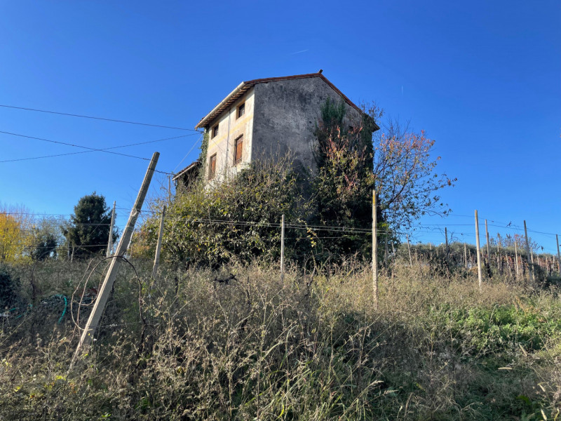 Foto annuncio 5