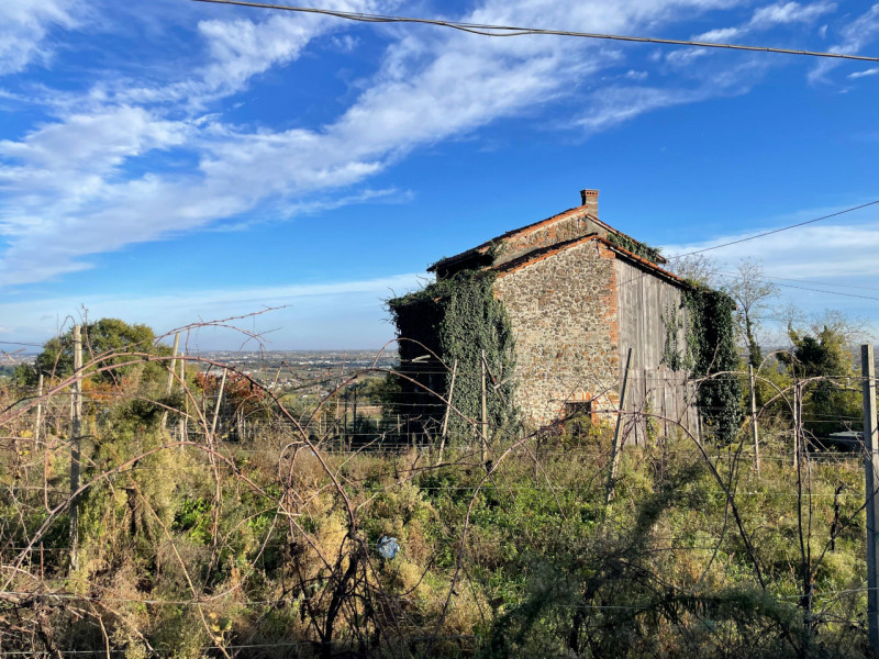 Foto annuncio 10