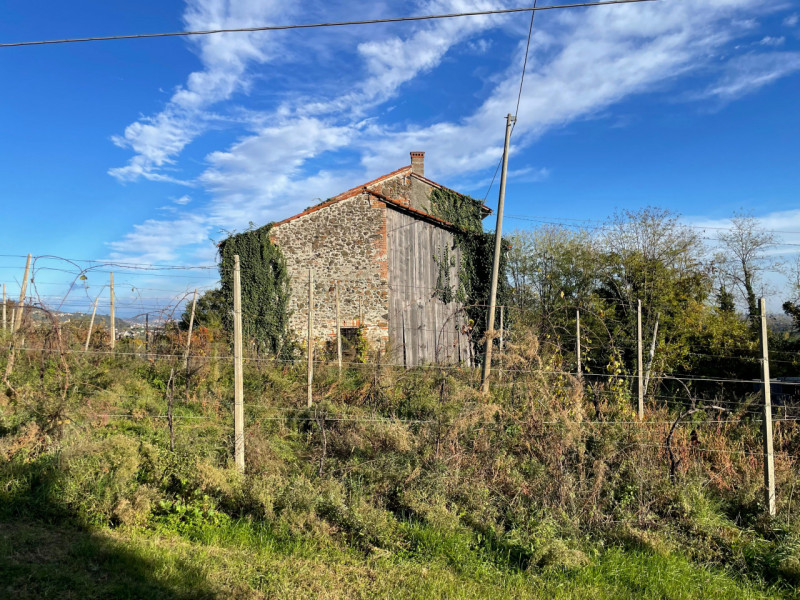 Foto annuncio 11