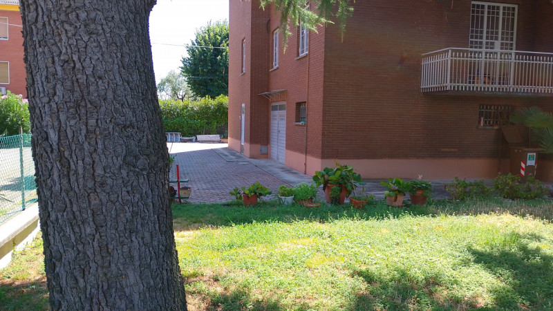 Foto annuncio 7