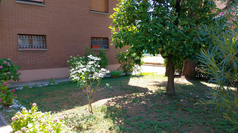 Foto annuncio 9