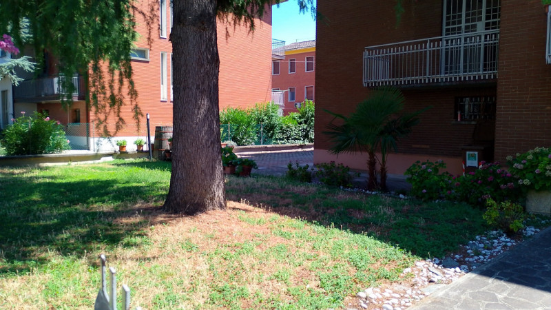 Foto annuncio 13