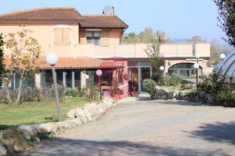 Foto annuncio 6