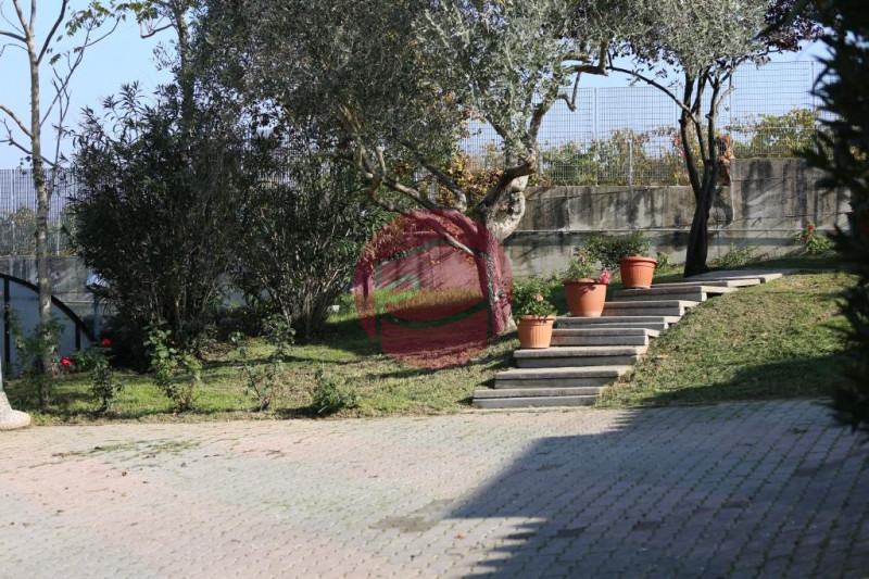 Foto annuncio 11