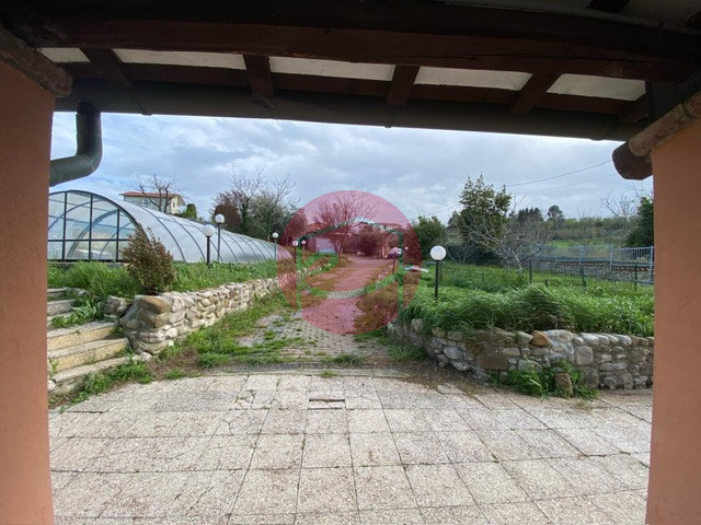 Foto annuncio 14