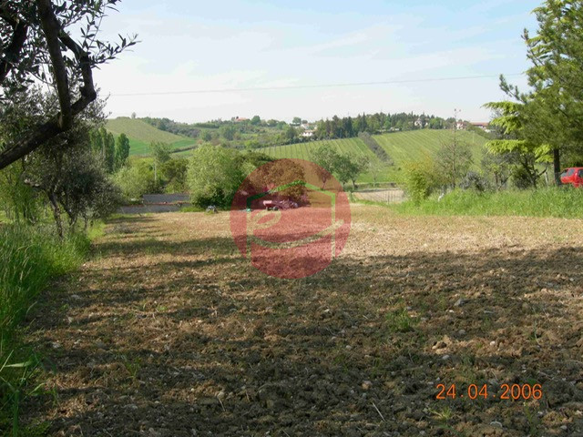 Foto annuncio 39