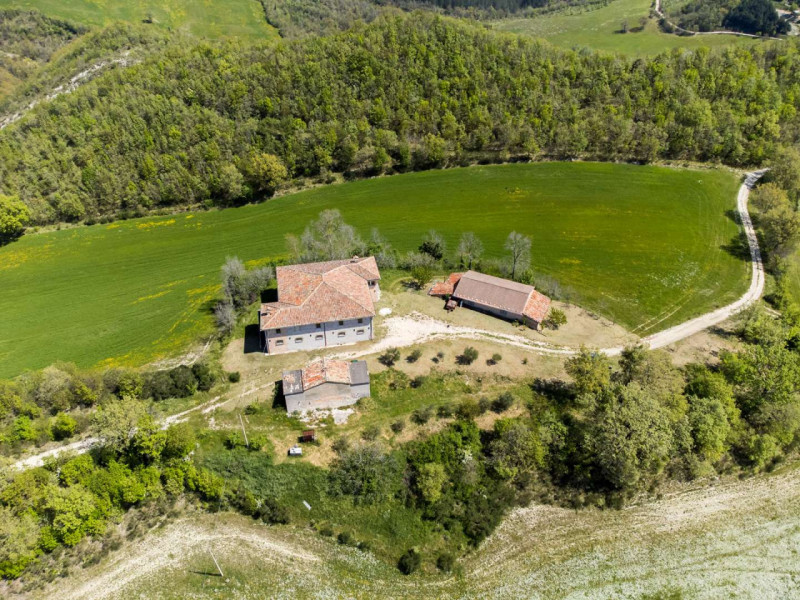 Foto annuncio 9