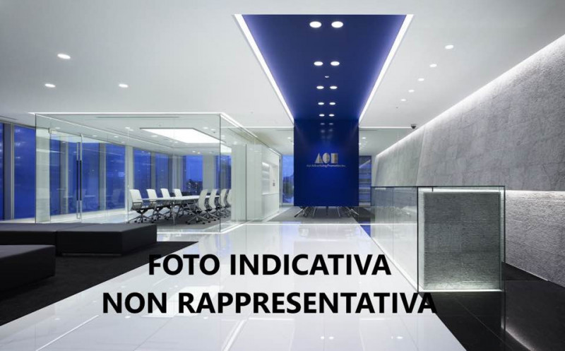 Foto annuncio 7